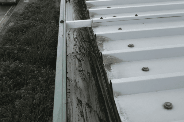 Commercial gutter cleaning specialists in Maidenhead